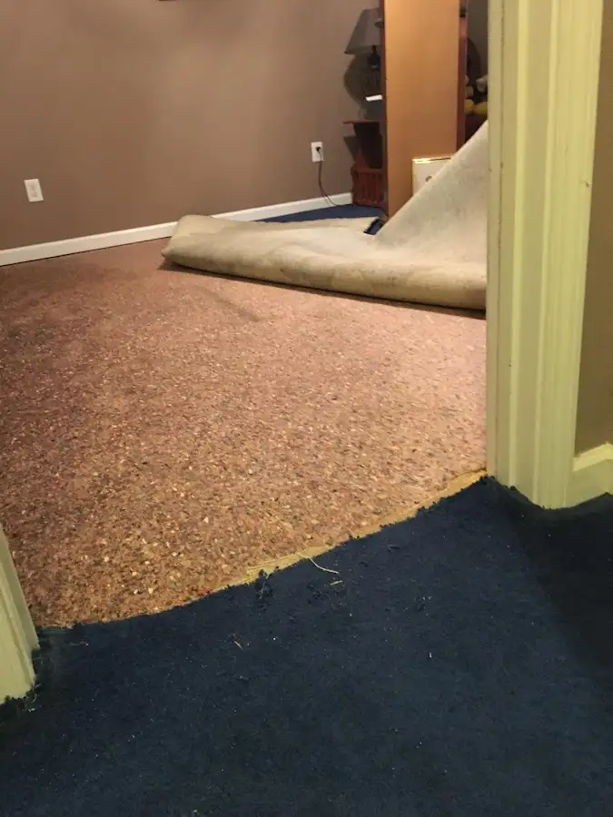 Carpet pad removal revealing water damage during Water Mitigation Services in El Rio