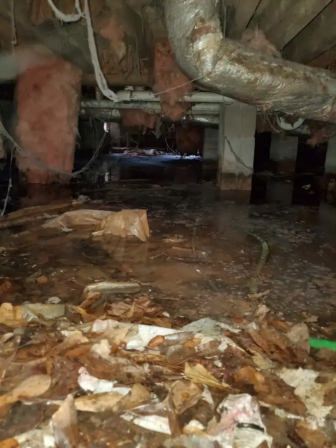 Crawl space flood assessment for Leak Detection & Repair in El Rio